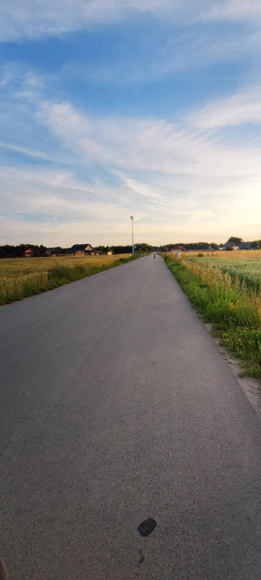 W Sosnach Poleski Park Narodowy Grabniak